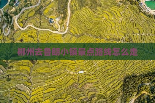郴州去鲁朗小镇景点路线怎么走