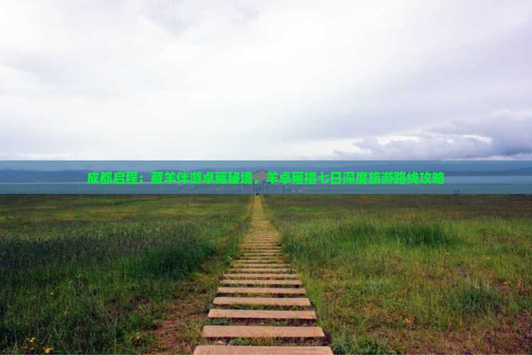 成都启程：藏羊伴游卓雍秘境，羊卓雍措七日深度旅游路线攻略