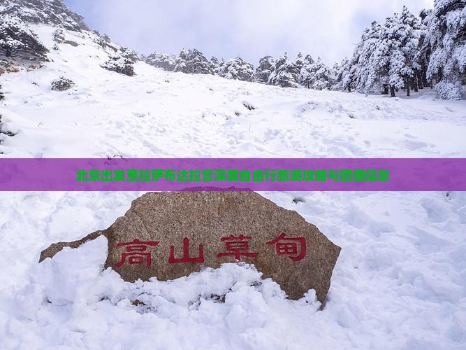 北京出发至拉萨布达拉宫深度自由行旅游攻略与团组信息