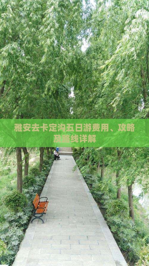 雅安去卡定沟五日游费用、攻略及路线详解