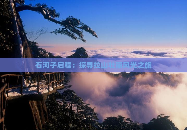 石河子启程：探寻拉山壮丽风光之旅