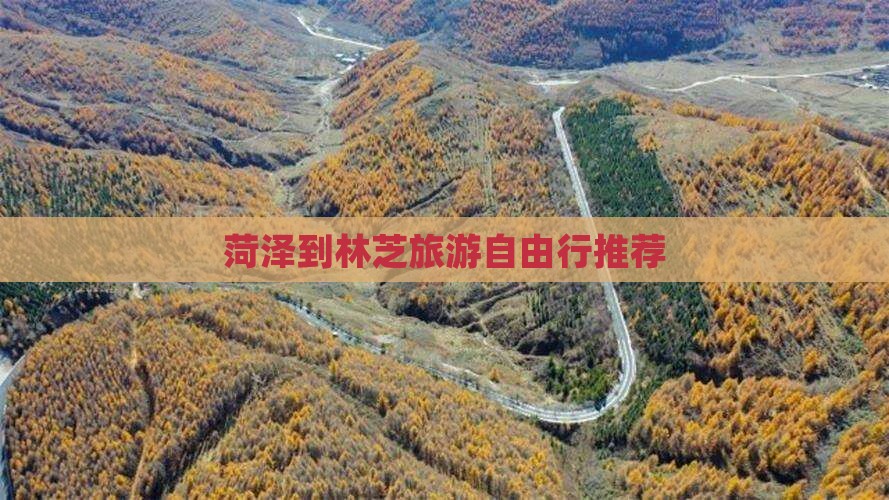 菏泽到林芝旅游自由行推荐