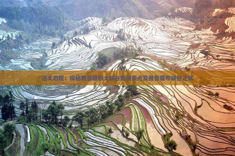 遵义启程：探秘雅鲁藏布大峡谷旅游景点及雅鲁藏布峡谷之旅