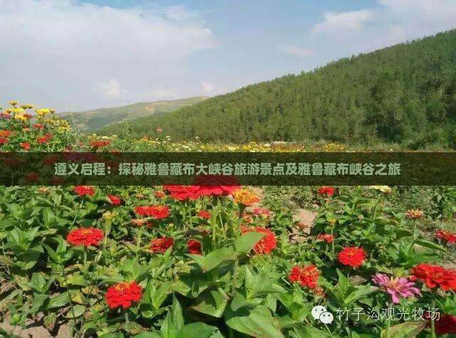 遵义启程：探秘雅鲁藏布大峡谷旅游景点及雅鲁藏布峡谷之旅
