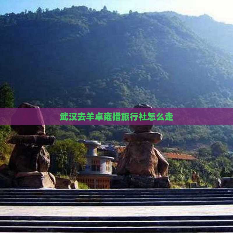 武汉去羊卓雍措旅行社怎么走