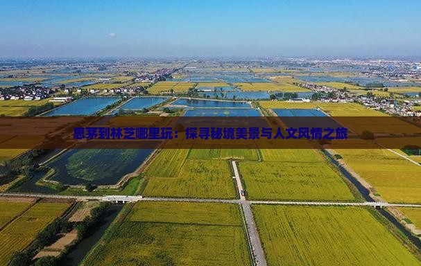 思茅到林芝哪里玩：探寻秘境美景与人文风情之旅