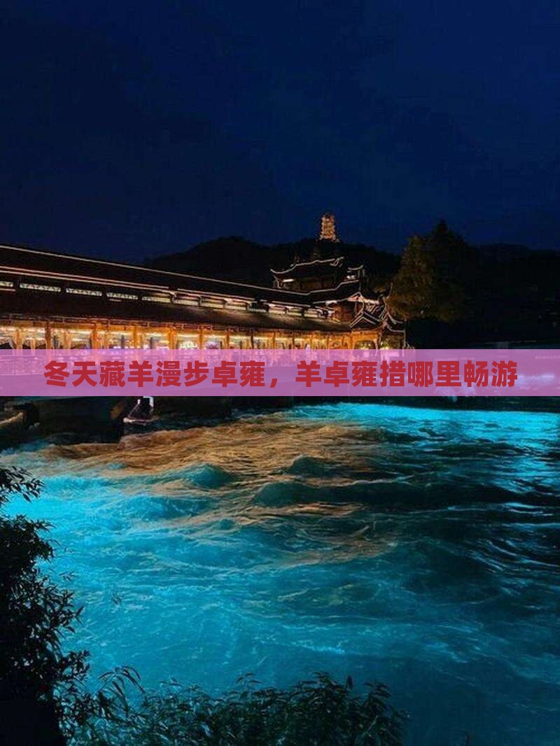 冬天藏羊漫步卓雍，羊卓雍措哪里畅游