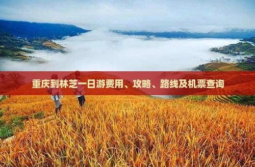 重庆到林芝一日游费用、攻略、路线及机票查询