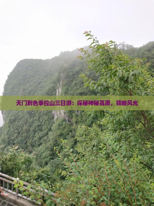 天门到色季拉山三日游：探秘神秘高原，领略风光