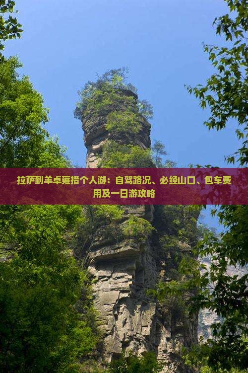 拉萨到羊卓雍措个人游：自驾路况、必经山口、包车费用及一日游攻略