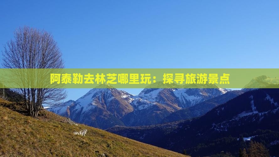阿泰勒去林芝哪里玩：探寻旅游景点