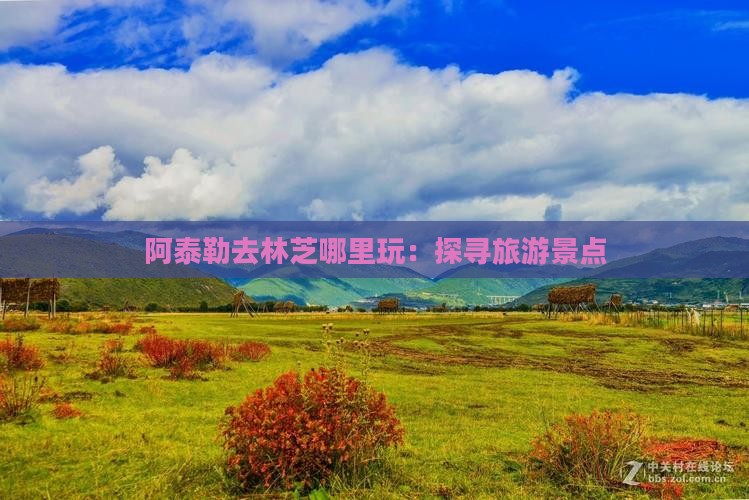阿泰勒去林芝哪里玩：探寻旅游景点