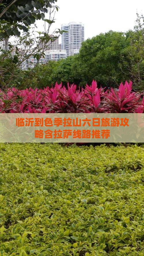 临沂到色季拉山六日旅游攻略含拉萨线路推荐