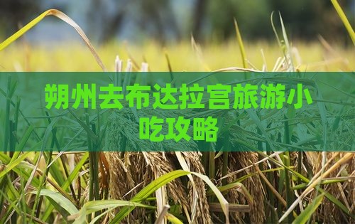 朔州去布达拉宫旅游小吃攻略