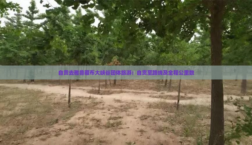 自贡去雅鲁藏布大峡谷团体旅游：自贡至路线及全程公里数