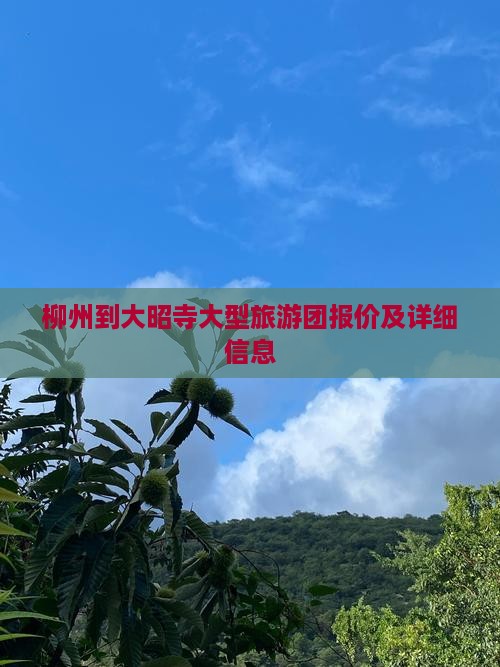 柳州到大昭寺大型旅游团报价及详细信息