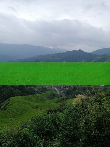 成都到鲁朗小镇旅行社推荐|旅游专线|川藏线旅行首选