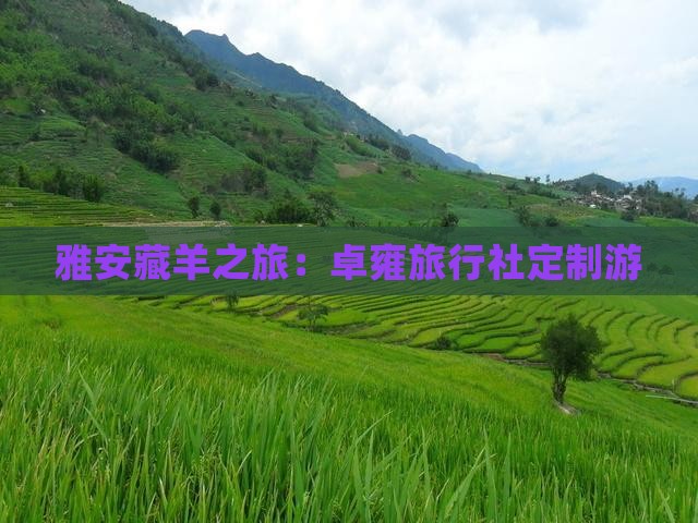 雅安藏羊之旅：卓雍旅行社定制游