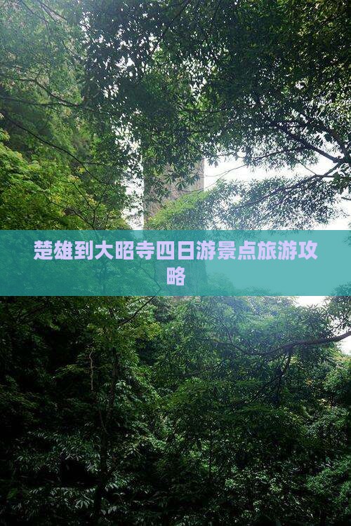楚雄到大昭寺四日游景点旅游攻略