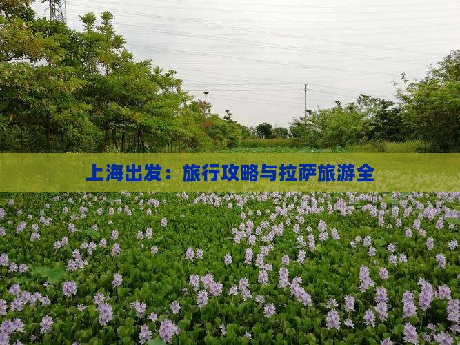 上海出发：旅行攻略与拉萨旅游全
