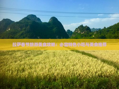 拉萨春节旅游美食攻略：必尝特色小吃与美食推荐