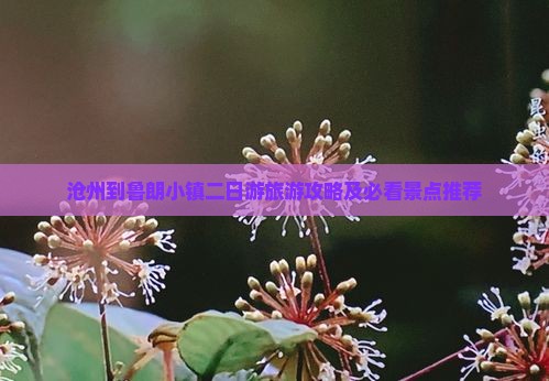 沧州到鲁朗小镇二日游旅游攻略及必看景点推荐