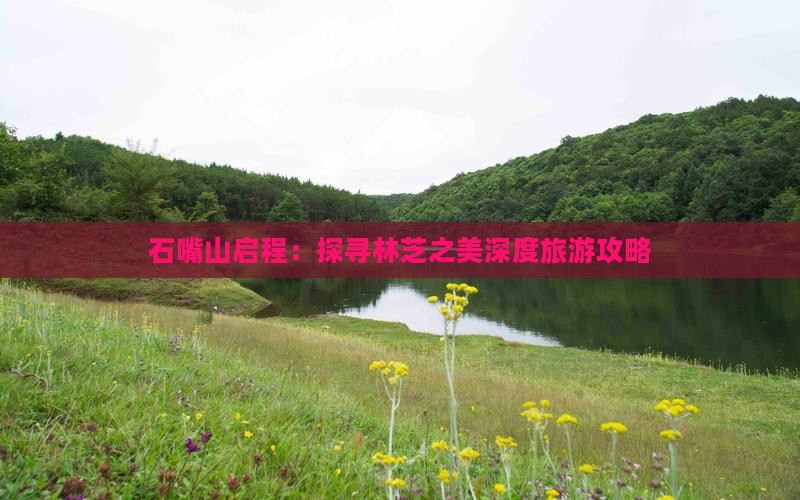 石嘴山启程：探寻林芝之美深度旅游攻略