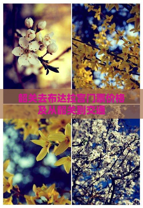 韶关去布达拉宫门票价格及从韶关到交通