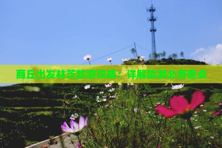 商丘出发林芝旅游攻略：详解旅游必游景点