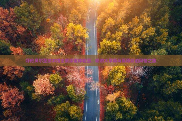 呼伦贝尔至纳木措全景深度体验团，畅游大草原与高原湖泊风情之旅