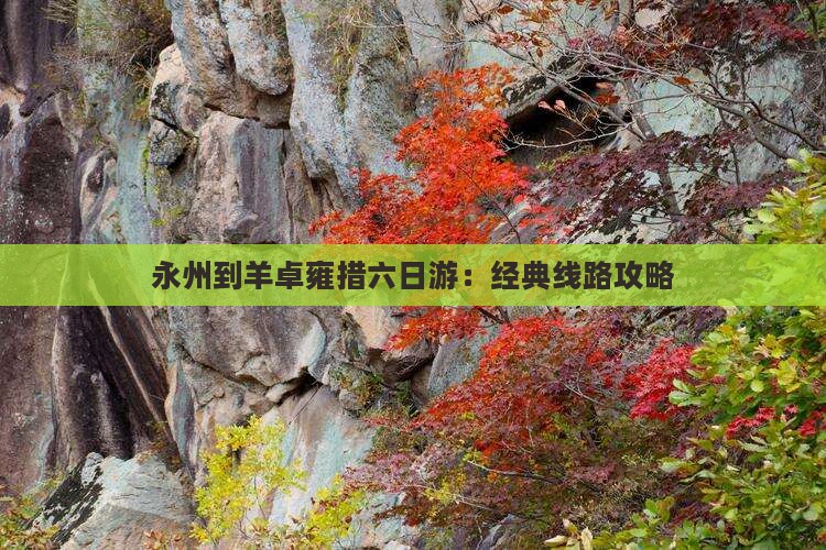 永州到羊卓雍措六日游：经典线路攻略