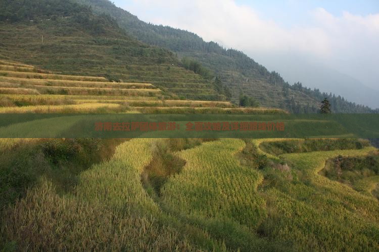 济南去拉萨团体旅游：全面攻略及详细路线价格