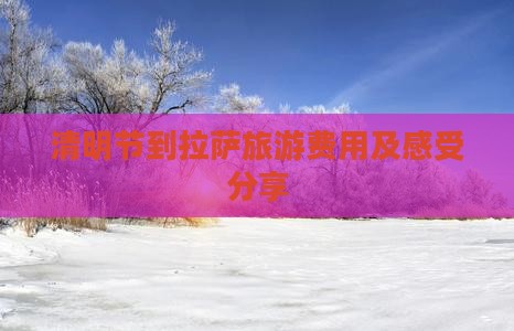 清明节到拉萨旅游费用及感受分享