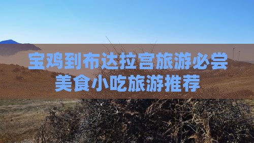 宝鸡到布达拉宫旅游必尝美食小吃旅游推荐
