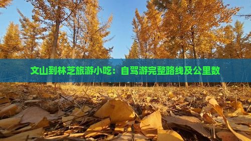 文山到林芝旅游小吃：自驾游完整路线及公里数