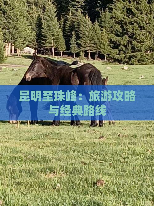 昆明至珠峰：旅游攻略与经典路线