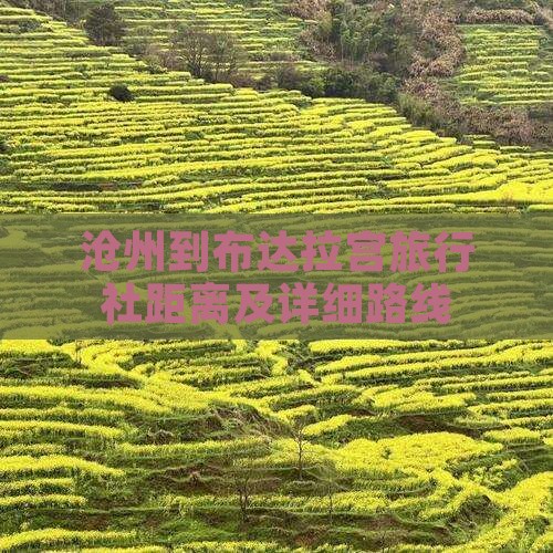 沧州到布达拉宫旅行社距离及详细路线