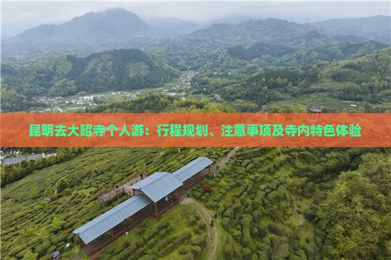 昆明去大昭寺个人游：行程规划、注意事项及寺内特色体验