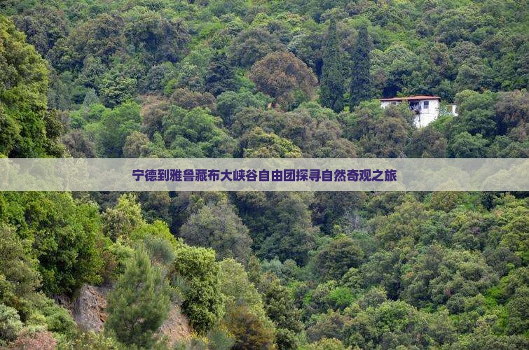 宁德到雅鲁藏布大峡谷自由团探寻自然奇观之旅