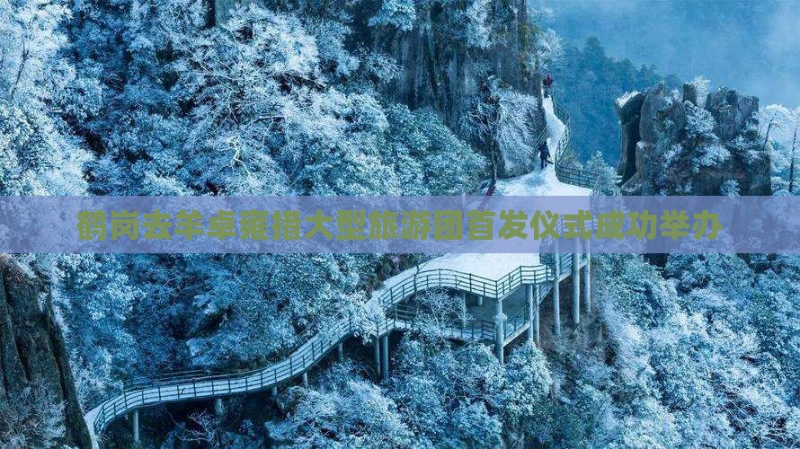 鹤岗去羊卓雍措大型旅游团首发仪式成功举办