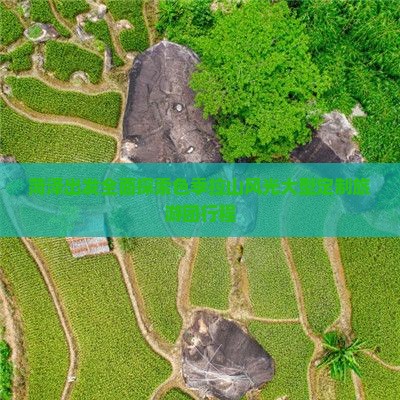 菏泽出发全面探索色季拉山风光大型定制旅游团行程