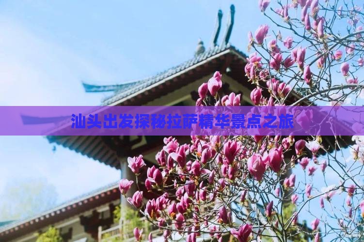 汕头出发探秘拉萨精华景点之旅