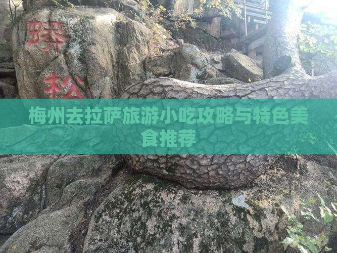 梅州去拉萨旅游小吃攻略与特色美食推荐