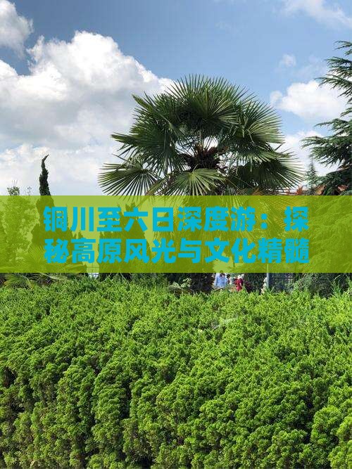 铜川至六日深度游：探秘高原风光与文化精髓