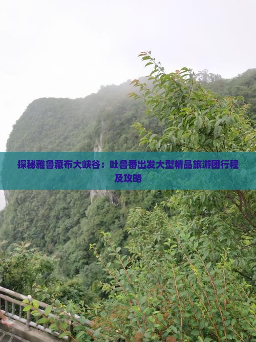 探秘雅鲁藏布大峡谷：吐鲁番出发大型精品旅游团行程及攻略
