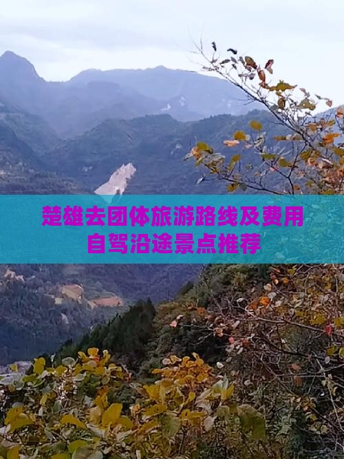 楚雄去团体旅游路线及费用自驾沿途景点推荐