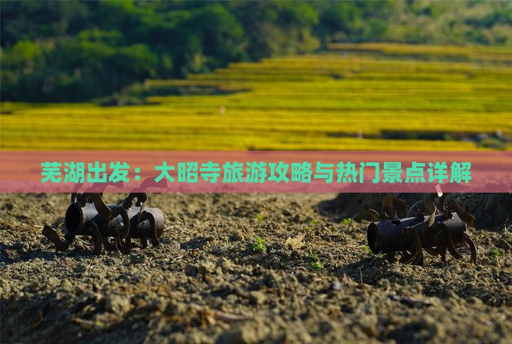芜湖出发：大昭寺旅游攻略与热门景点详解