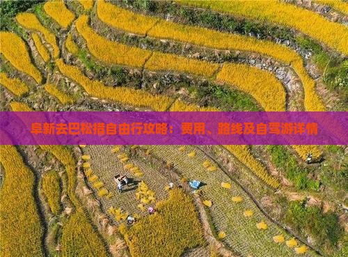 阜新去巴松措自由行攻略：费用、路线及自驾游详情