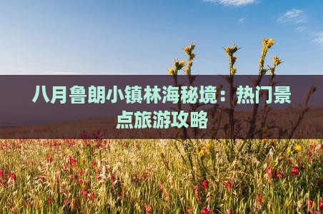 八月鲁朗小镇林海秘境：热门景点旅游攻略
