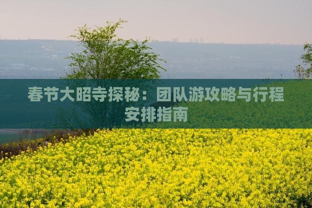春节大昭寺探秘：团队游攻略与行程安排指南